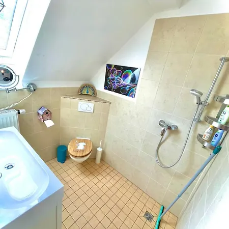 Апартаменты Historisches Retro Loft 70m2 Mit Garten & Seenaehe Швиловзе