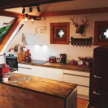 Historisches Retro Loft 70m2 Mit Garten & Seenaehe Apartment
