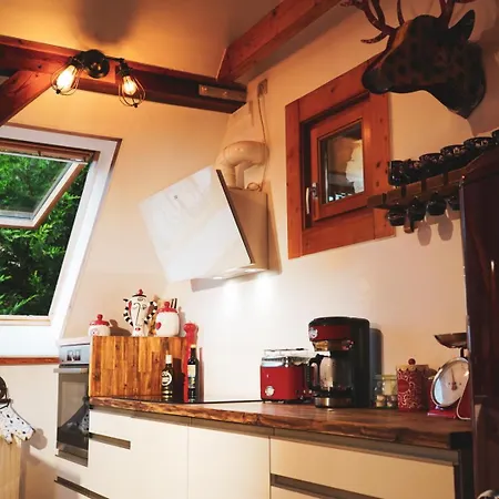 Apartment Historisches Retro Loft 70m2 Mit Garten & Seenaehe