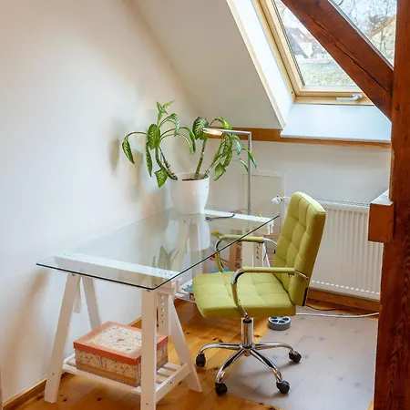 Historisches Retro Loft 70m2 Mit Garten & Seenaehe Швиловзе