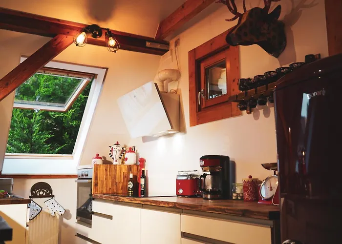 Daire Historisches Retro Loft 70m2 Mit Garten & Seenaehe